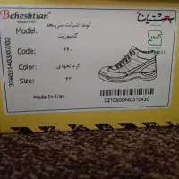 کفش  کوهستانی