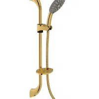 علم دوش معمولی