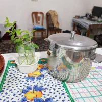 دیگ استیل بخار پز سوپاپ دار ماژین