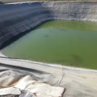 فروش ماهی کپور و آمور در استخر کشاورزی جهت طبخ|ماهی|ششده و قره بلاغ, |دیوار