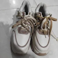 کفش کالسکه دوچرخه کفش دستگاه ویبره جاروبرقی|تجهیزات ورزشی|بوشهر, |دیوار