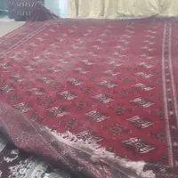 بهترین فرش دست بافت ترکمن|فرش|گنبد کاووس, |دیوار