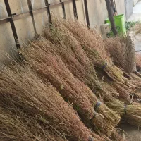 جارو دسته ای