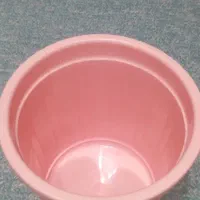 سطل برنج  تکی هم کسی بخواد می فروشم|ظروف نگهدارنده، پلاستیکی، یک‌بارمصرف|کرج, برغان|دیوار