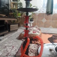 قیلون در حد نو