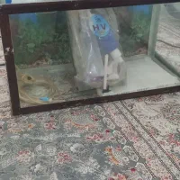 اکواریوم با تمامی لوازم