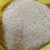 برنج عنبر بو خوزستان