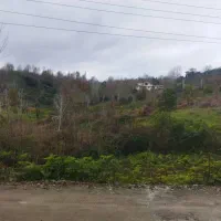 ۱۹۰ متر زمین مسکونی کیش پشت اطاقور