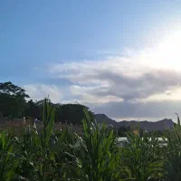 معوضه-ویلا-2500-متری-با-منزل-در-کاشان