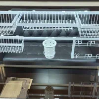 نیروی کار آقا جهت رنگ کار پودری استاتیک