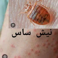 سمپاشی باضمانت گلشهر مهرشهر حصارک کمالشهرقلم نبوت