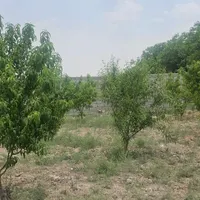 باغچه آماده ویلا سازی لوکیشن سرسبز|فروش دفتر صنعتی، کشاورزی، تجاری|تهران, فرودگاه مهرآباد|دیوار