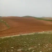 زمین کشاورزی