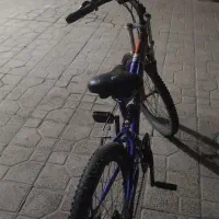 دوچرخه ۲۴|دوچرخه، اسکیت، اسکوتر|شاهینشهر, شهرک گلدیس|دیوار