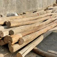 خرید و فروش انواع چوب و تخته چوب وچنار سقفی|عمدهفروشی|کوزران, |دیوار