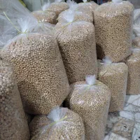 گردو مغز گردو پسته تازه بادام زمینی تخمه کانادایی|خوردنی و آشامیدنی|مشهد, خواجه ربیع|دیوار