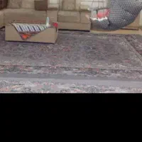 روفرشی۱۲متری