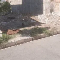 زمین خالی سند شش دانگ متراژ۱۴۴مترشهرک زیتون کوچه۸