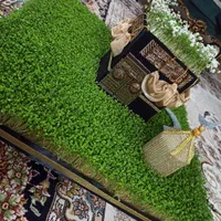 سبزه‌|خدمات باغبانی و درختکاری|اصفهان, همدانیان|دیوار