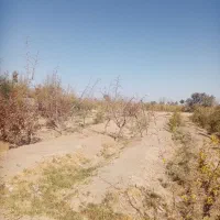 فروش زمین کشاورزی از چاه سنگ نوشته کلاته ملک|فروش زمین و ملک کلنگی|خوسف, |دیوار