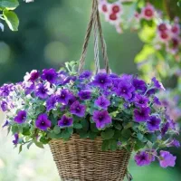 استخدام نیروی روزمزد