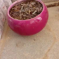 لوازم منزل|بخاری، هیتر، شومینه|گلبهار, شهر جدید گلبهار|دیوار