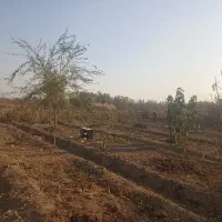 فروش باغچه در پیشک دو ماهدشت