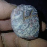 کسی خریداراین سنگ هاهست