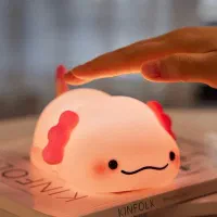 چراخ خواب ، چراغ دکوری