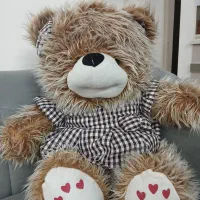 عروسک های خرسی