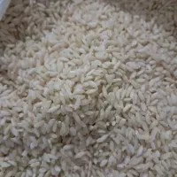 برنج انبربو خوزستان