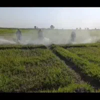 سمپاش گروه سمپاشی موتوری