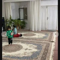 ۱ جفت فرش فرهی کلکسیون جاویدان ۹ متری|فرش|گنبد کاووس, |دیوار