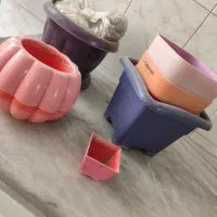 گلدان گل|گل و گیاه طبیعی|قم, نخودی|دیوار