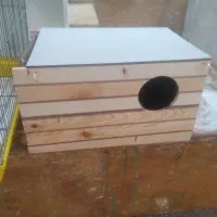 لانه بزرگ برای همه پرندگان