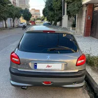 ۲۰۶ بی رنگ در حد