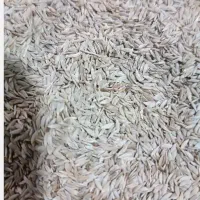 فروش انواع بذر جات پرندگان نصیری