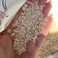 برنج هاشمی کیلویی۳۸۰