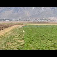 زمین کشاورزی و باغ