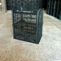 سبد جی سیب و گوجه