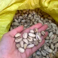 پسته خشک امسال اکبری|خوردنی و آشامیدنی|سمنان, |دیوار