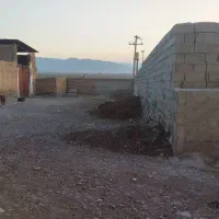 گاوداری روبروی سالیزمرغ