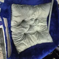 گربه نر شناسنامه دار نژاد اسکاتیش|گربه|اردبیل, |دیوار