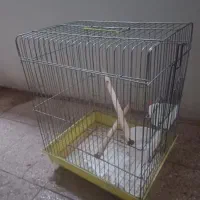 قفس پرنده ضخیم
