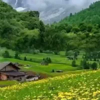 بلیط تور لحضه اخری