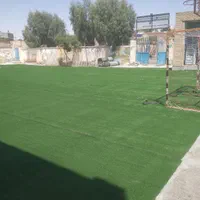 فروش ونصب انواع مدل موکت وچمن مصنوعی|موکت|سیرجان, |دیوار