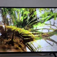 تلویزیون ۵۰ تی سی ال TCL|تلویزیون و پروژکتور|قدس, هفت جوی|دیوار