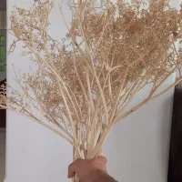 گلدان با گل خشک|گل مصنوعی|تهران, اختیاریه|دیوار