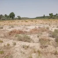 یک دونگ آب و۳هکتارزمین کشاورزی ۵سالع اجاره داده م|اجارهٔ دفتر صنعتی، کشاورزی، تجاری|قلعه گنج, |دیوار