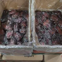 خرمای کبکاب